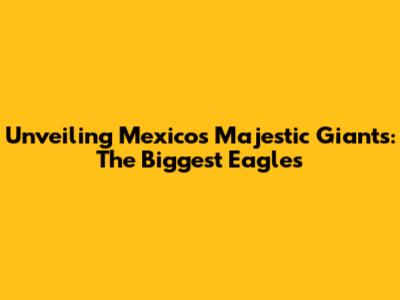 Unveiling Mexico's Majestic Giants: The Biggest Eagles